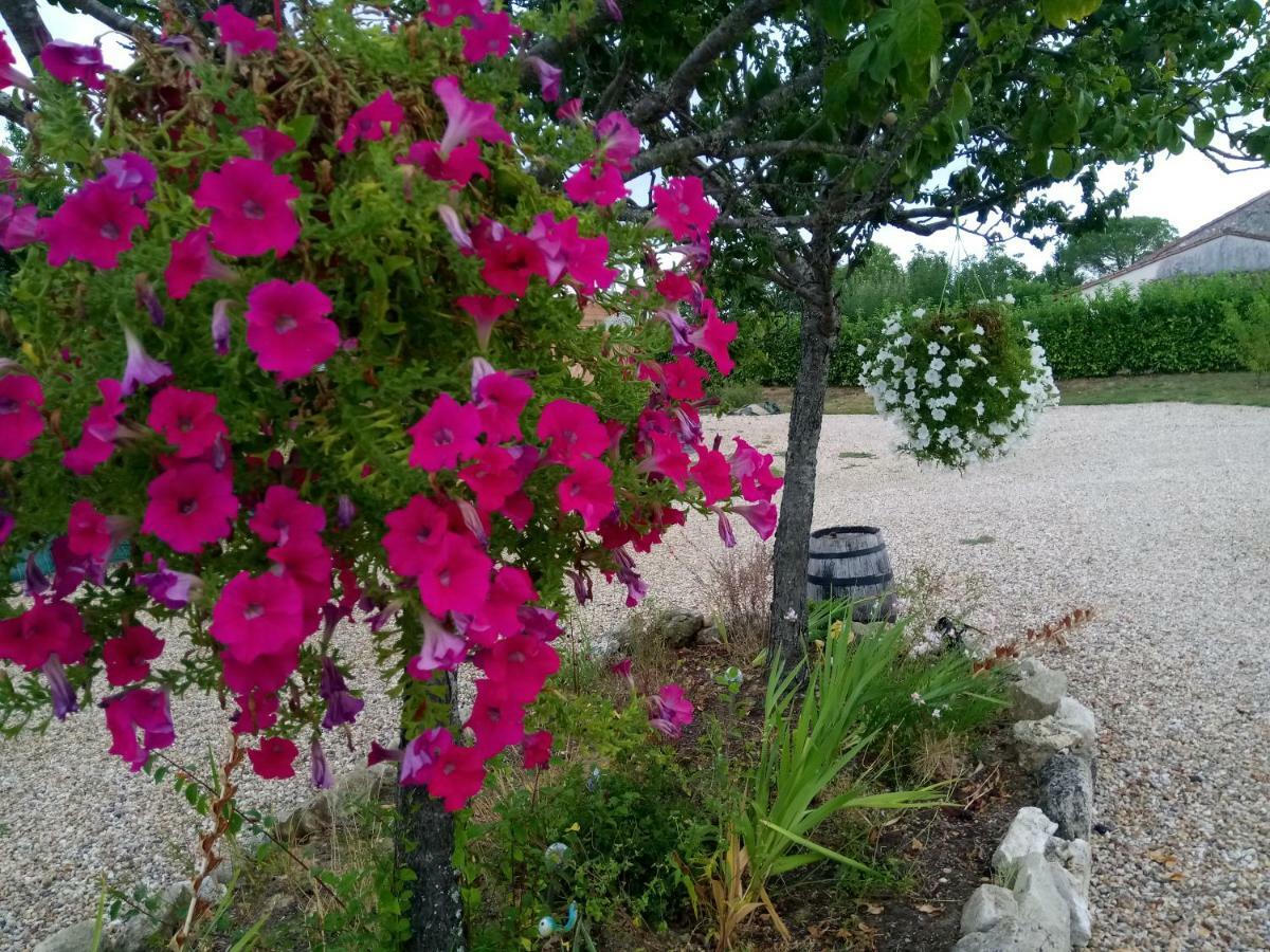 Bed and Breakfast La Mirabelle Montazeau Exterior foto